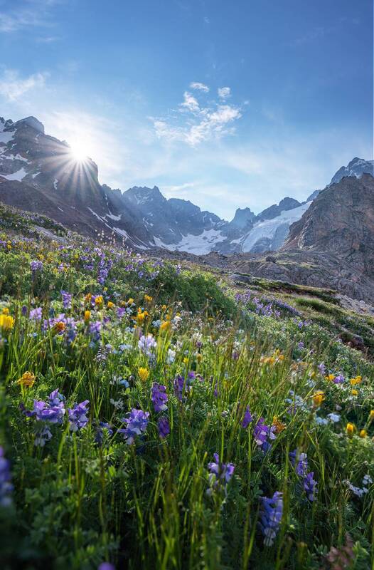 уллутау, адырсу, приэльбрусье, кабардинобалкария, кбр, кавказ Высокогорные поляphoto preview