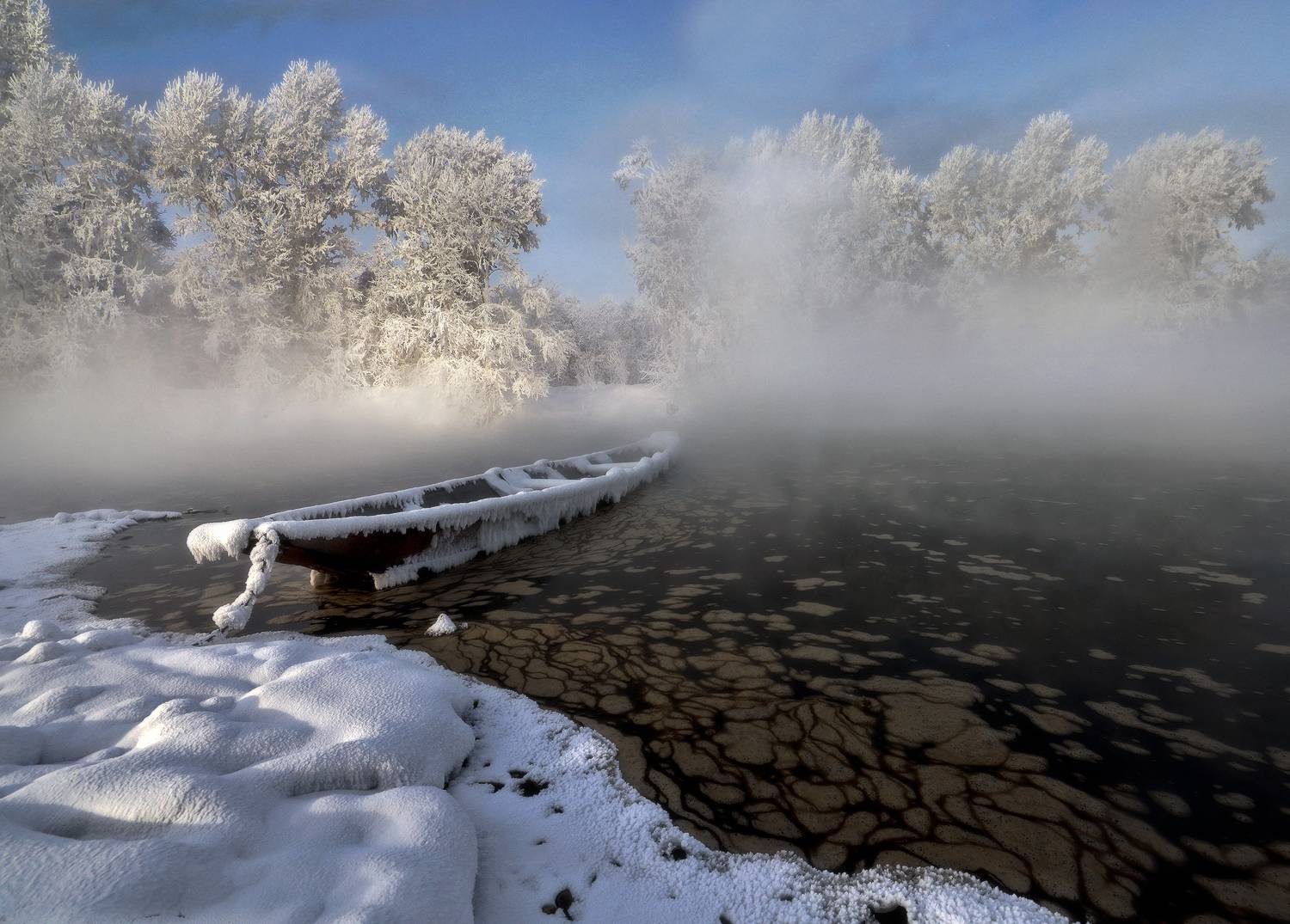 , Галина Хвостенко