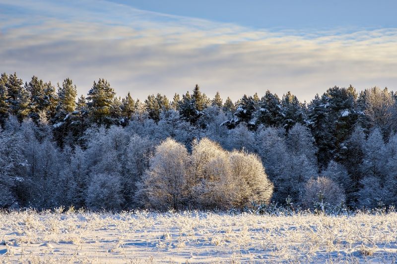 Из тени к светуphoto preview