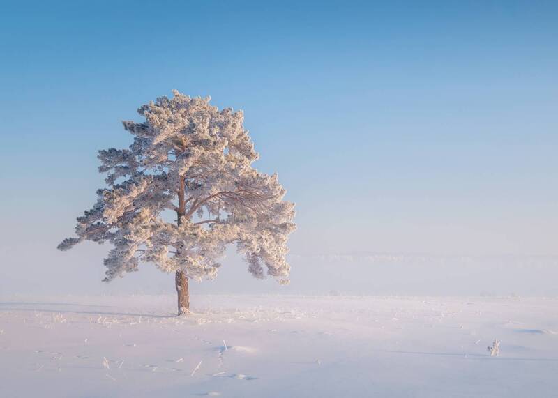 Солнечно...photo preview