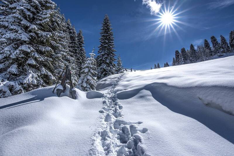 Тропа к солнцуphoto preview