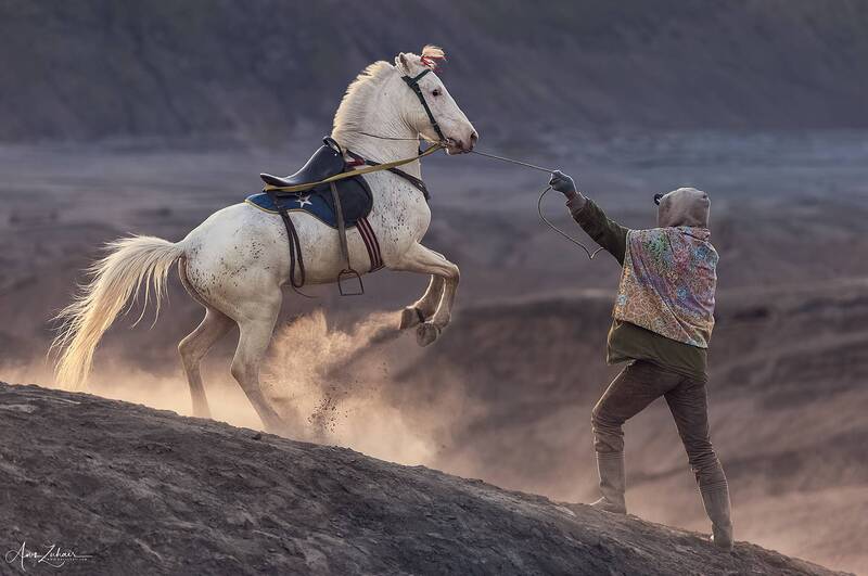 people Horse Rider фото превью