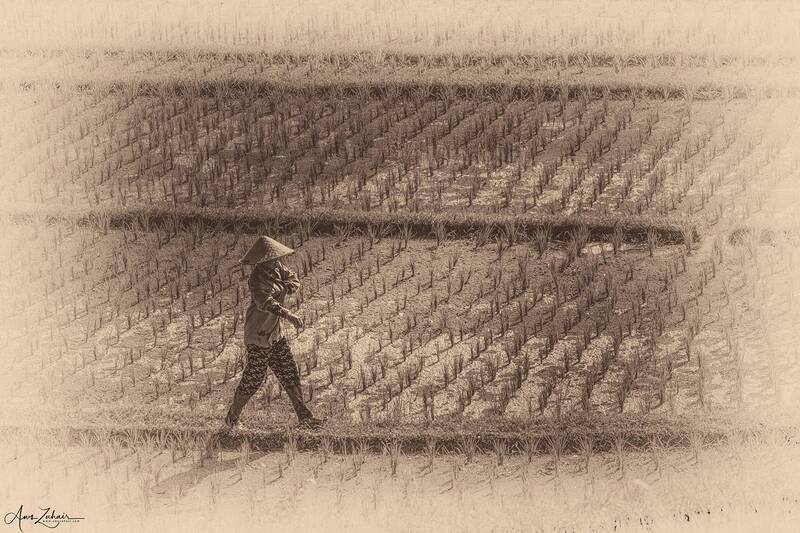 people The Farmers фото превью