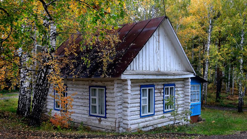 Лесной домикphoto preview