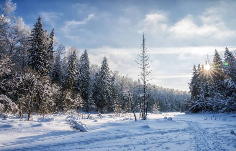 Мороз и Солнцеphoto preview