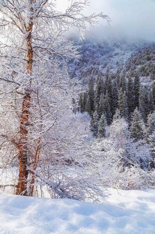 кыргызстан, ала-арча Картины январяphoto preview