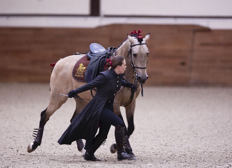 выступление, спорт, horse, competition, sport В едином ритмеphoto preview