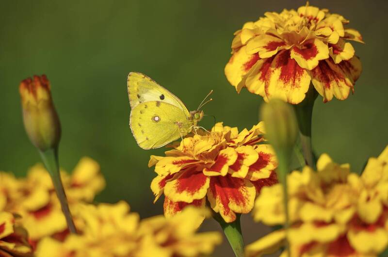 Маскировка фото превью