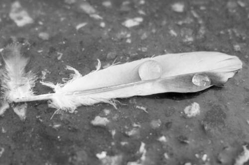 Просто фотографии Юдина Павла