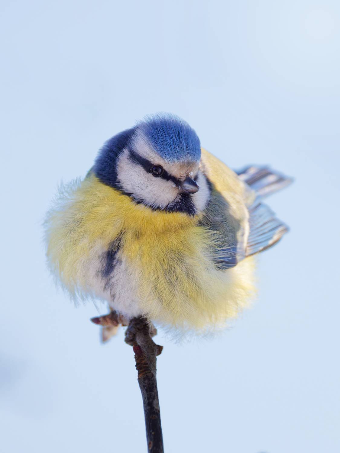 , Гильманов Артур