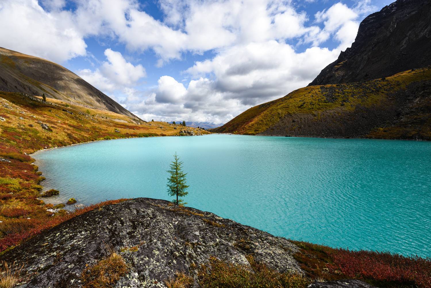 ***. Автор: Лукашенко Сергей Алтай, озёра, Шавлинское озеро, Шавлинские, Шавла, Каракабак, Каракабакские озёра, цвета, лето, поход, nikon, Лукашенко Сергей