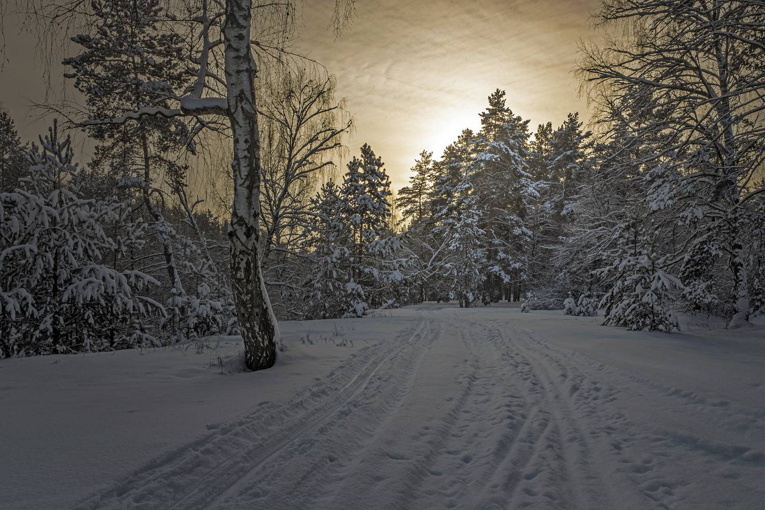 , Шитов Александр
