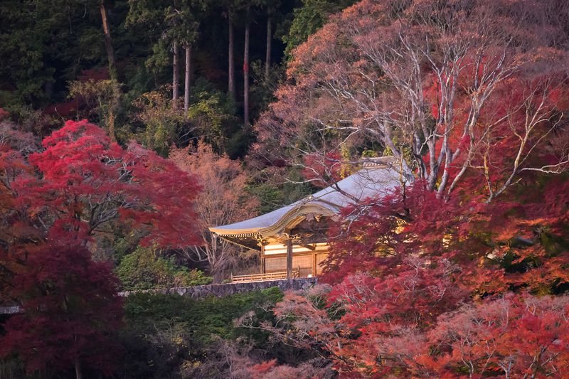 Daruma Templephoto preview