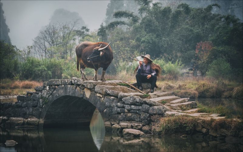 китай, гуйлинь, фототур в китай, фототуры 2026, фототур, старик, буйвол АНТРАКТ фото превью