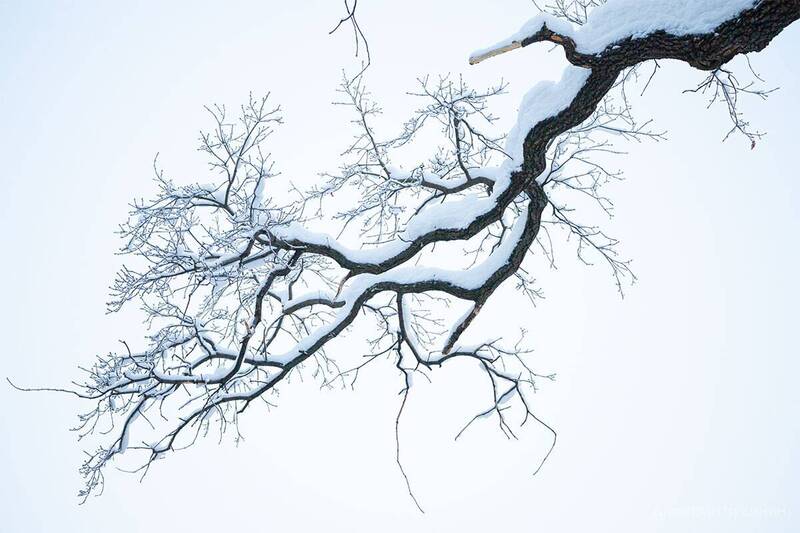 Зимняя графика фото превью