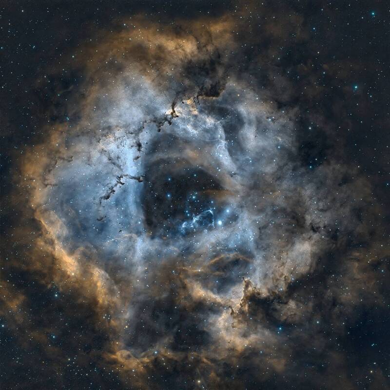 landscape,nature, birds, macro, animals, astrophotography  фото превью