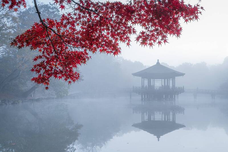 Япония. Огненная осеньphoto preview