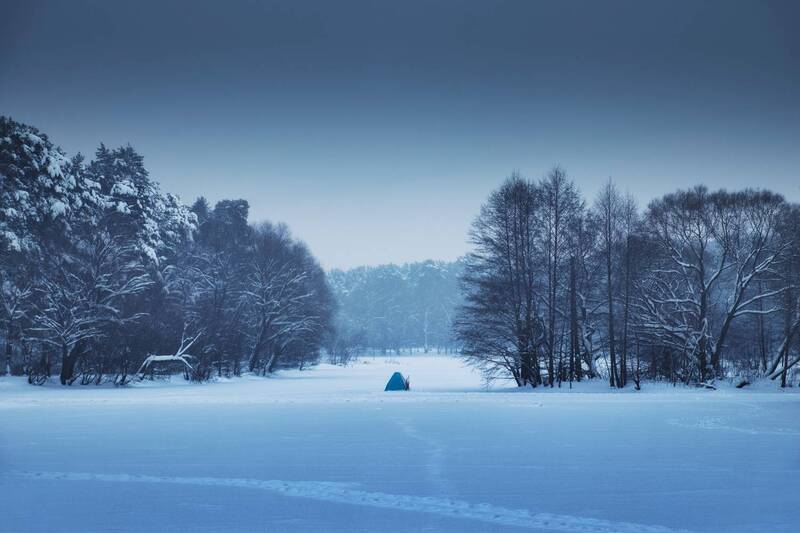 деревья, снег, На заснеженном озереphoto preview