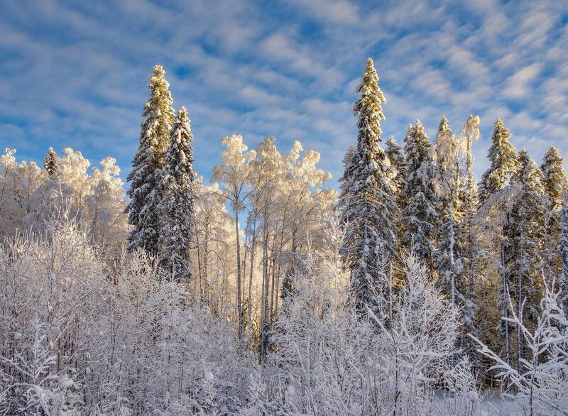 Внутренний светphoto preview