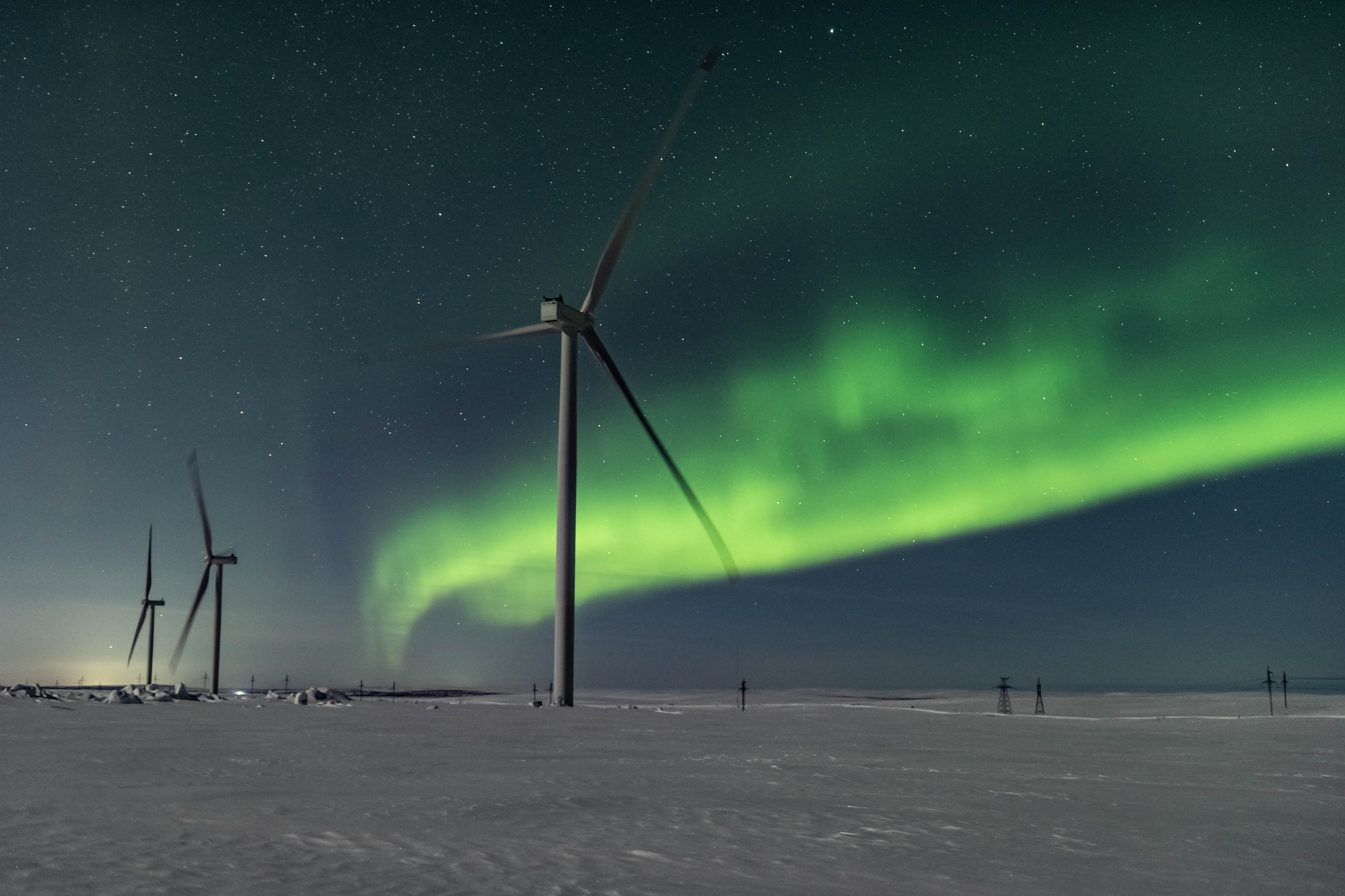 В тундре фото превью