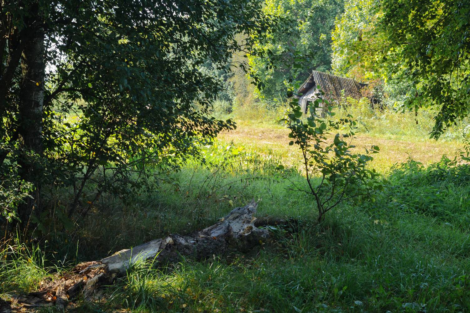 ***. Автор: Лысенко Сергей , Лысенко Сергей