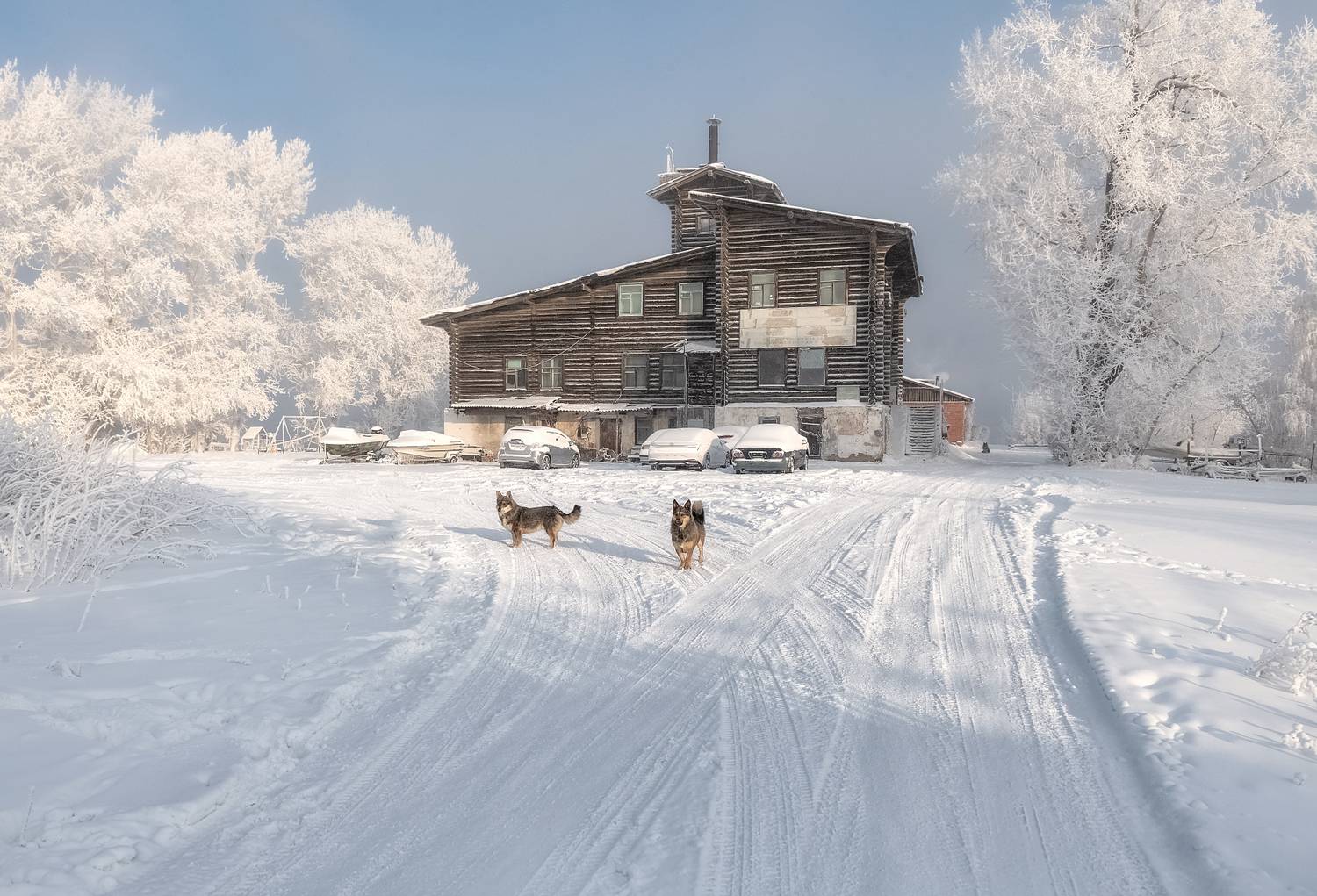 сибирь, мороз, иней, старое здание аэропорта, красноярск,зима, Марина Фомина