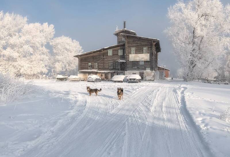 сибирь, мороз, иней, старое здание аэропорта, красноярск,зима Хранитель истории фото превью