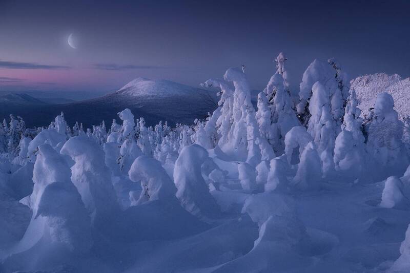 Спящая красавица фото превью