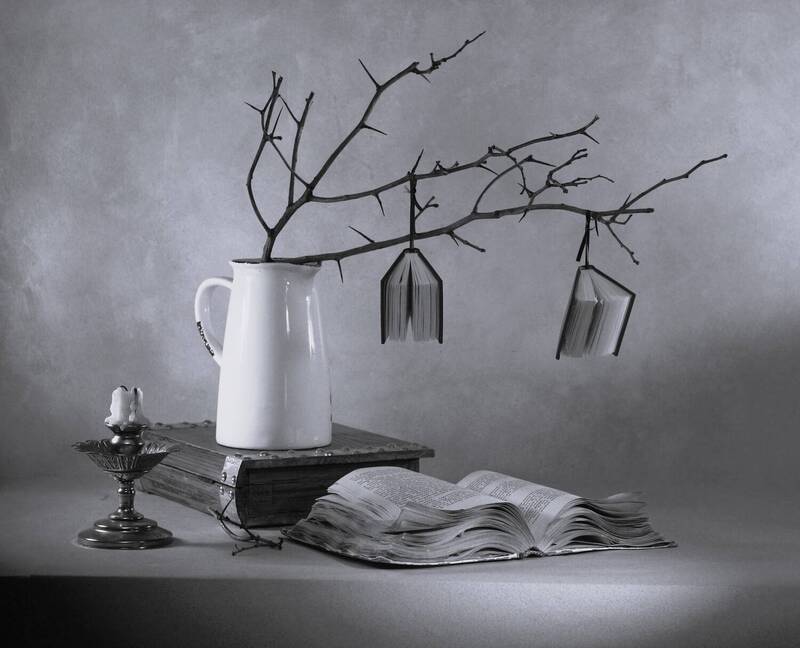 Знания - сила, ученье - свет! фото превью