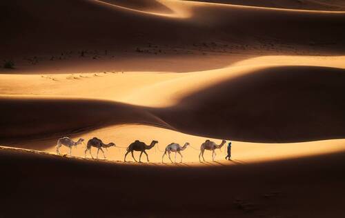 Пески Сахары / The Sands of Sahara