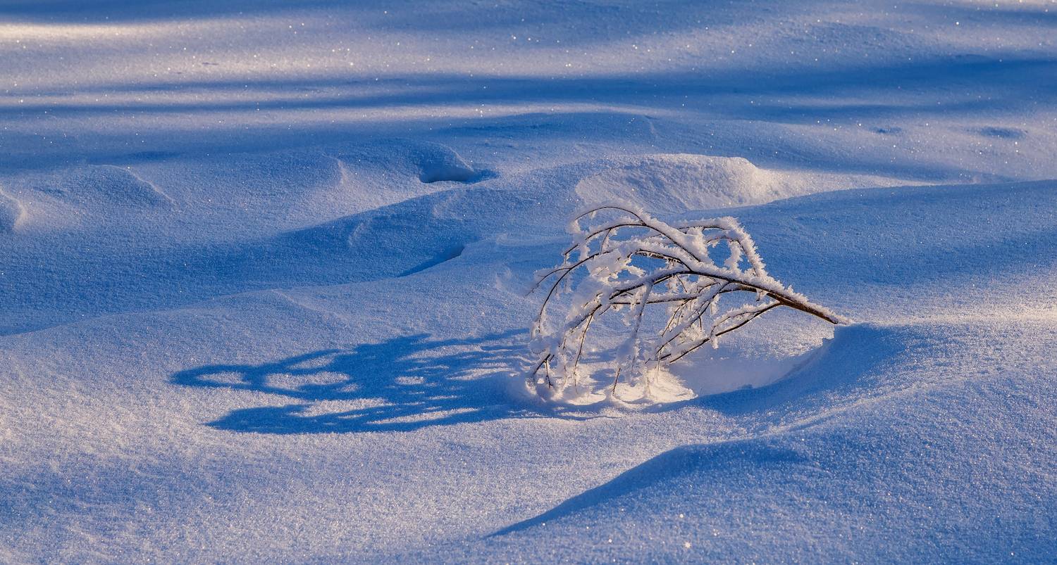 Свет и тень... Автор: Подосинников Максим , Подосинников Максим
