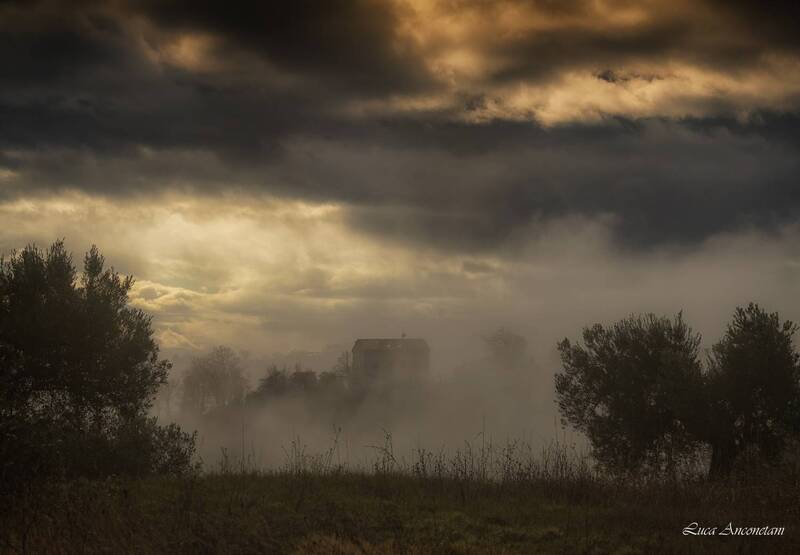 fog nature landscape outdoor trees le marche clouds dramatic sky Fog фото превью