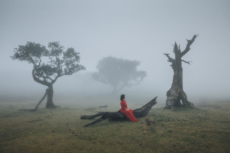 Nostalgyphoto preview