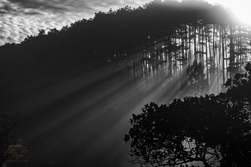 Early morning lightsphoto preview