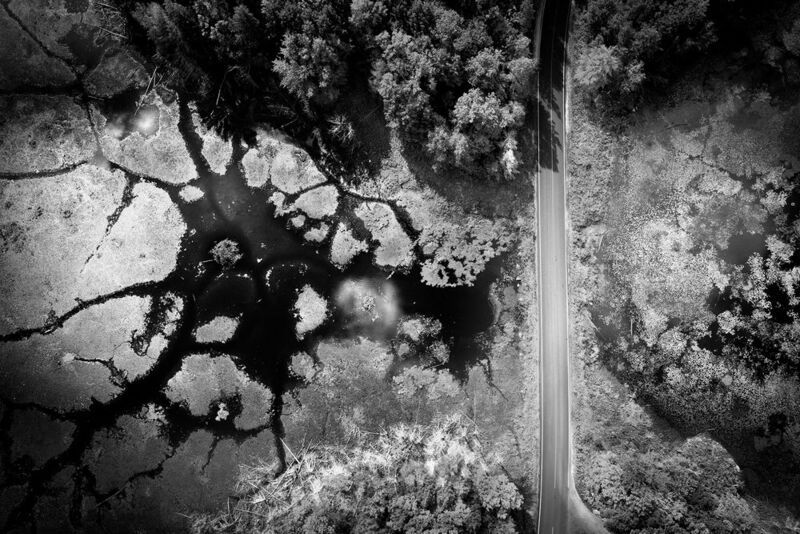 marko radovanovic, Nature,White,Monochrome photography,Monochrome,Blackandwhite, canada, markoradovanovic, aerial, road, beaver, ontario, reflection, clouds, house, animalhouse, b&w, bw, nocolour, pond, lake, roads, underwater, forest, NatureFacts, Beaver Beyond the imaginable  фото превью