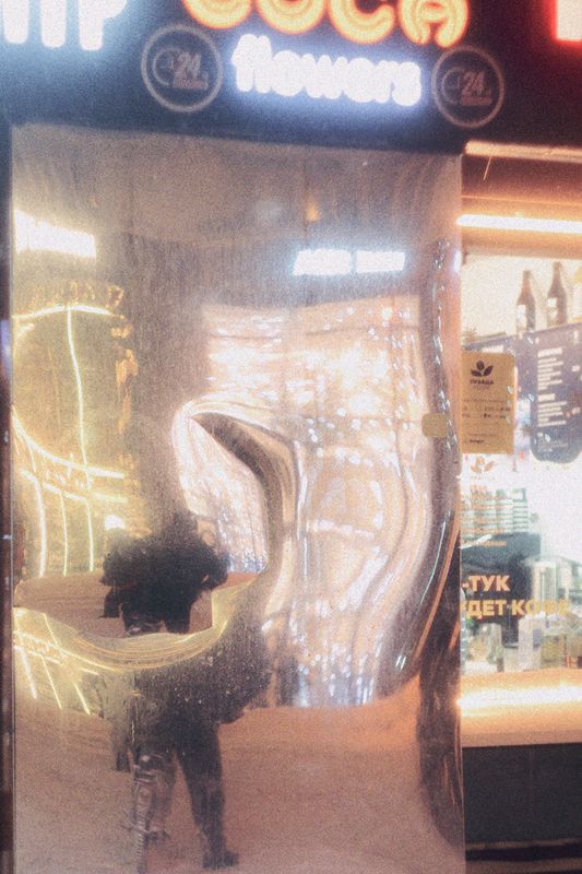 Moscow, Russia, January 2026photo preview