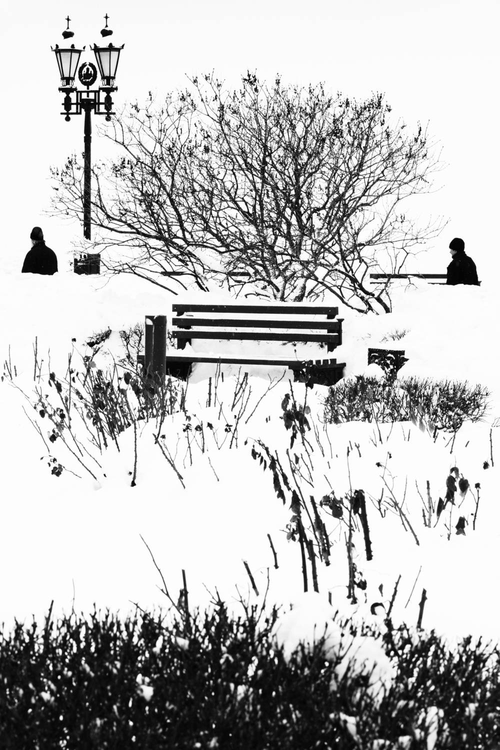 Зима. Автор: Иван Богачев , Иван Богачев