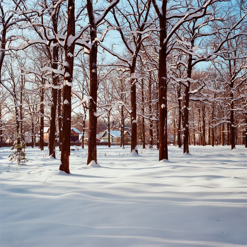 природа, зима, пейзаж, пленка, пленка120, Kodak ektar, landscape, Московская область Пейзажи средней полосыphoto preview