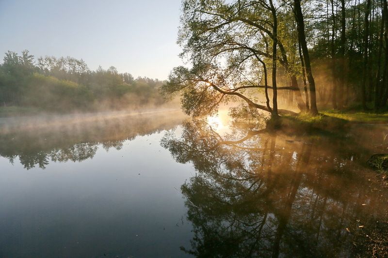 ... в черте города ... 2photo preview