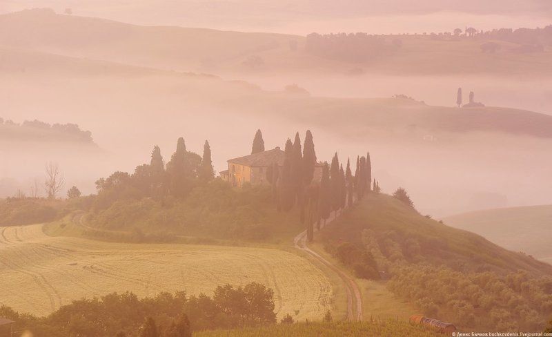 italy, tuscany, nature, landscape morning fogphoto preview