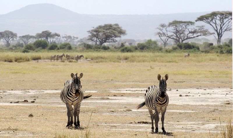 Подружкиphoto preview