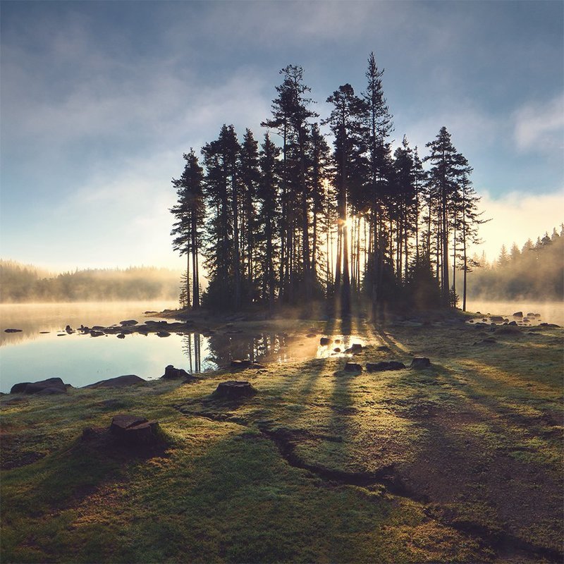 Утренний туман фото превью
