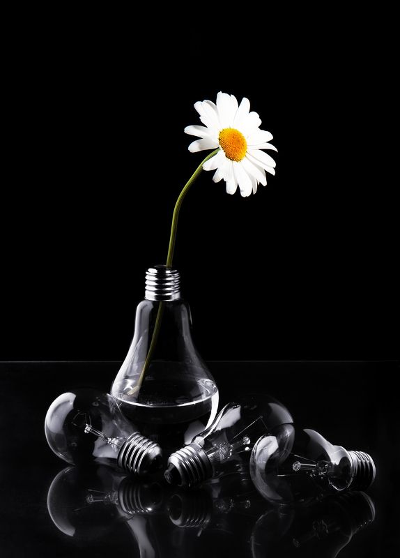 лампыphoto preview