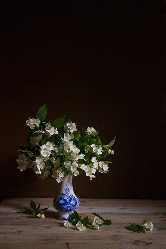 Жасминphoto preview