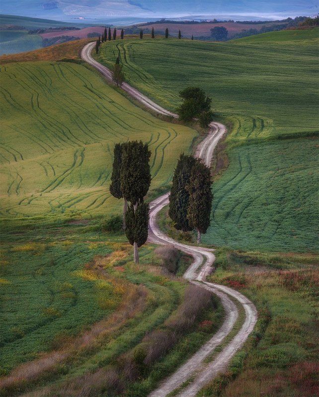 The morning way.photo preview