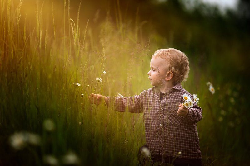 child, children, portrait, boy, nature, grass, meadow, flowers, sun Flowers for motherphoto preview