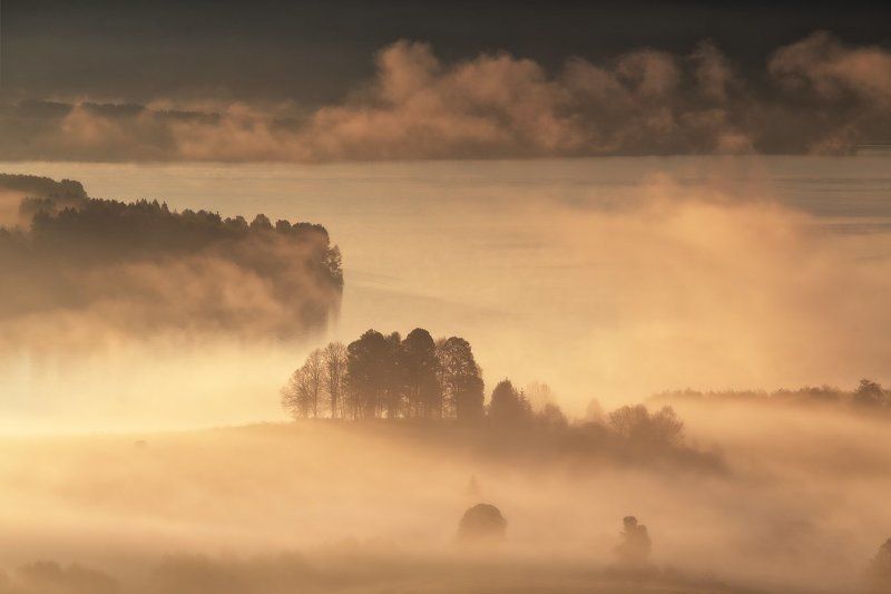 Многоплановость туманного утраphoto preview