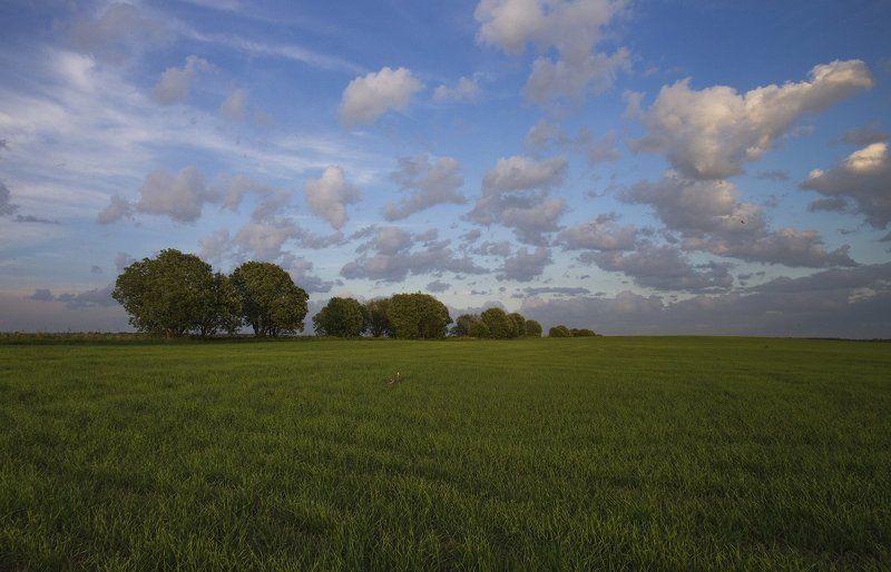 Простые пейзажиphoto preview