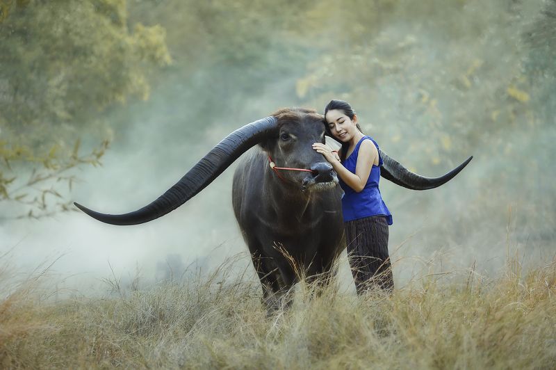 Asia, Asian, Bearfoot, Beautiful, Buffalo, Fashion, Thai, Woman Moodphoto preview