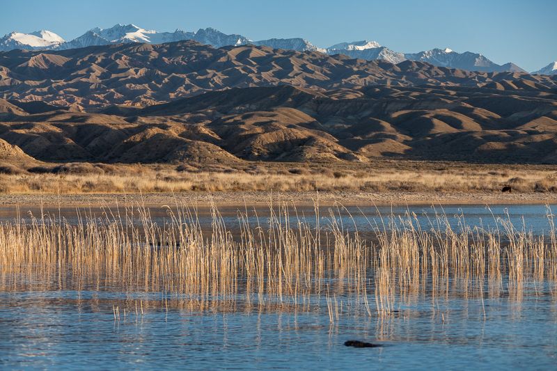 образ краяphoto preview